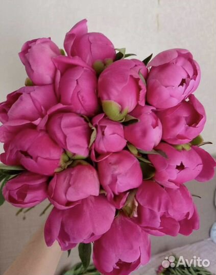 Пионы на срезку, гвоздика, гортензия, ромашка