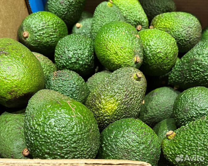 Авокадо Хасс