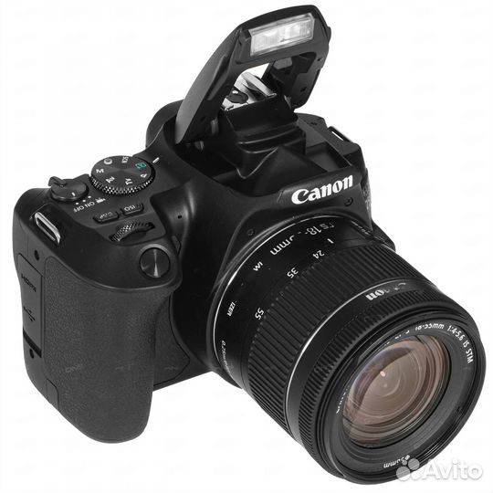 Зеркальный фотоаппарат Canon EOS 250D Kit 18-55mm