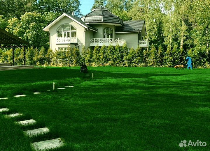 Рулонный газон