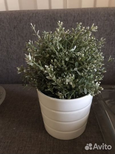 Ваза для цветов, конфетница