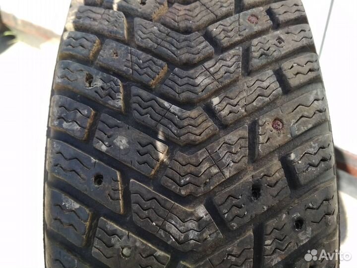 Dunlop Winter Maxx WM01 175/65 R14