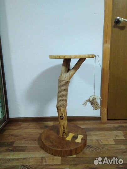 Когтеточка