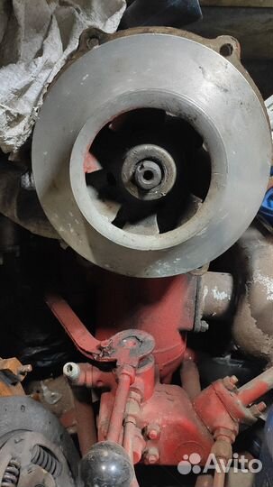 Улитка мп 800