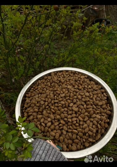 Сухой корм для собак Холистик