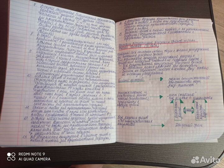 Написание конспектов, набор текстов