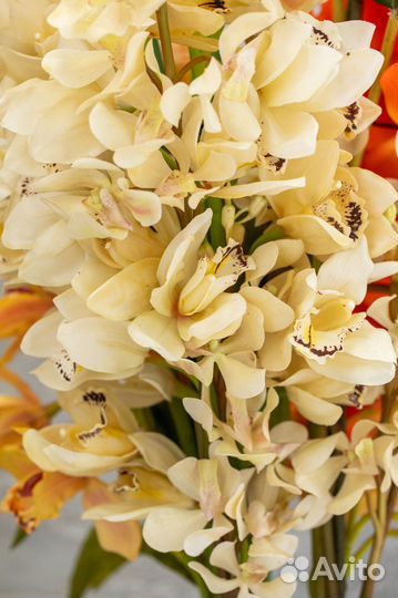 Многолетние цветы для интерьера