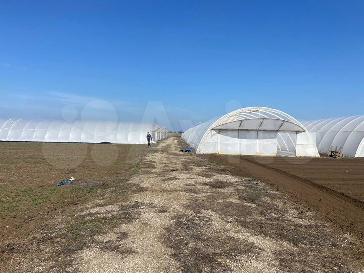 Участок 1,25 га (ИЖС)