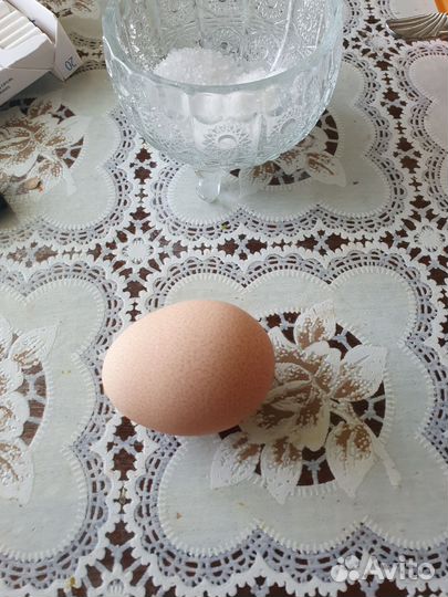 Цесариные яйцв