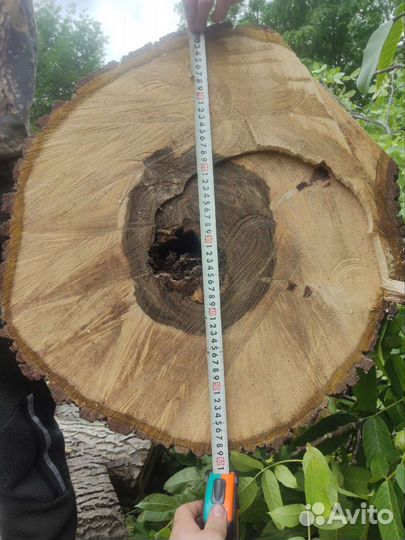 Дрова и ствол грецкого ореха