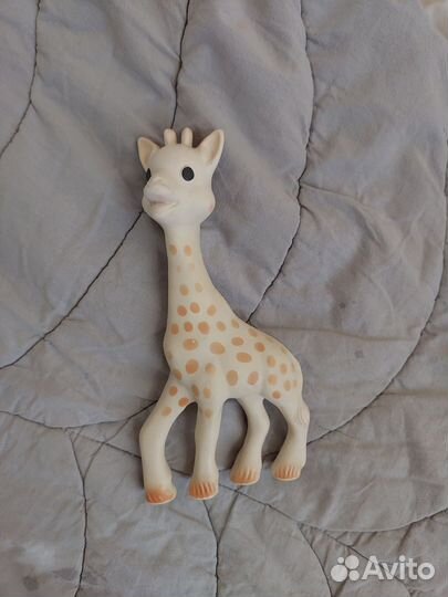 Жирафик софи