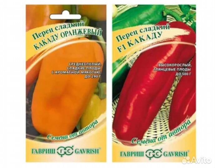 Рассада сладкого перца