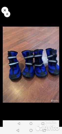 Обувь для собак