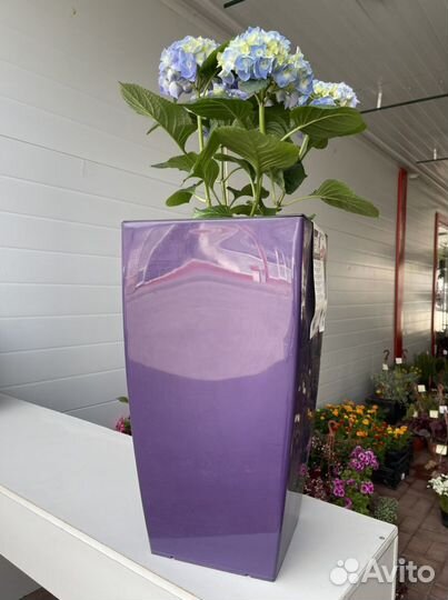 Цветочный горшок с автополивом