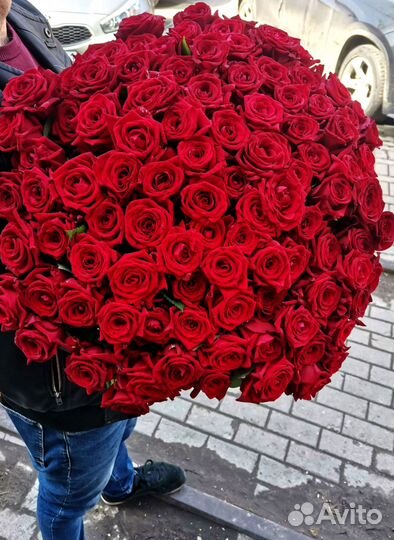 Розы, букет цветов, 101 роза. Розы опт