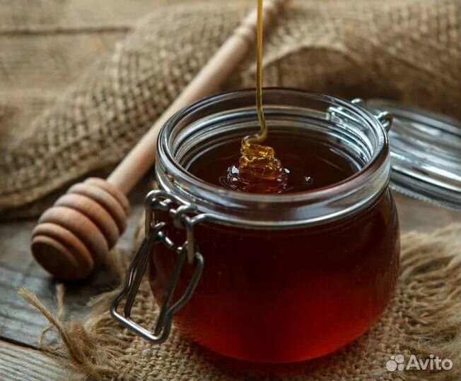 Мед дягелевый алтайский