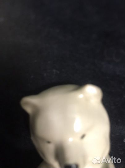 Медведь Городница