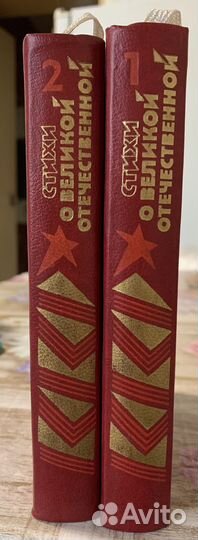 Стихи о Великой Отечественной в двух книгах