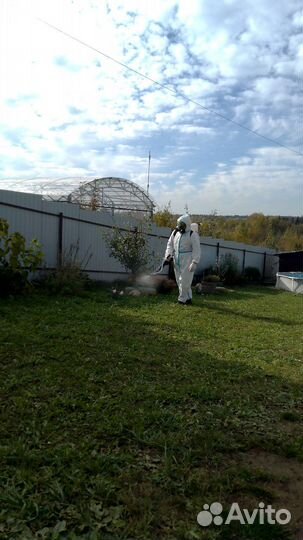 Обработка участка от борщевика, клещей