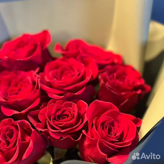 Букет «Ассоль» красные розы 11 шт