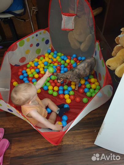 Сухой бассейн с шариками+ пазл