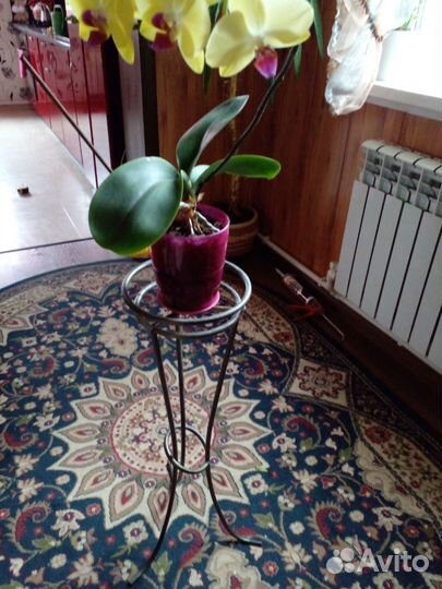 Подставка под цветы