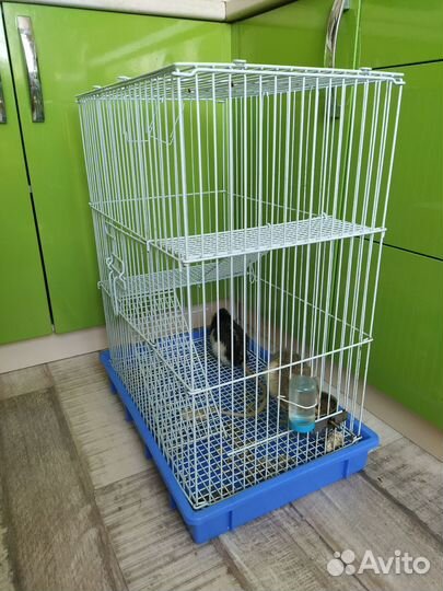 Клетка для грызунов