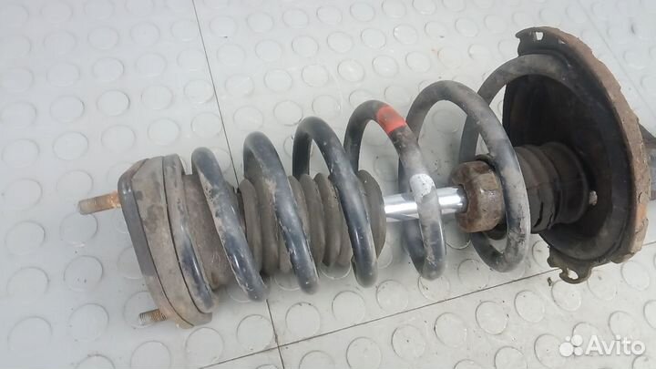 Стойка амортизатора заднего левого Lexus RX270/RX350/RX450h