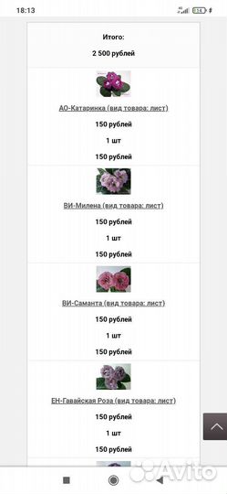 Глоксиния махровая сортовая