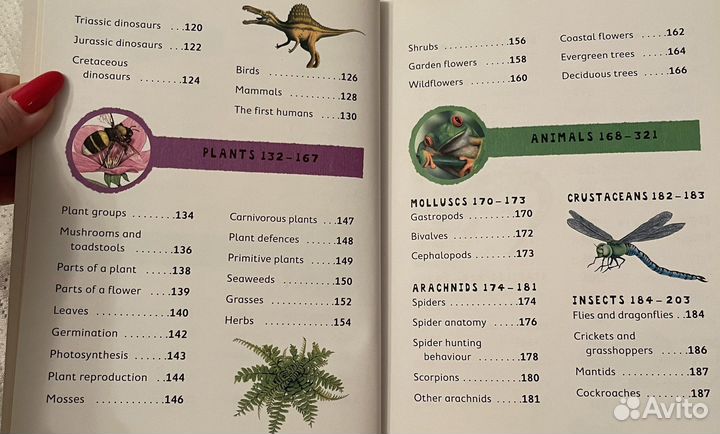 Английские книги для детей