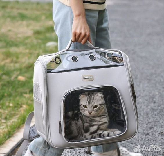 Топовые переноски для кошек и собак