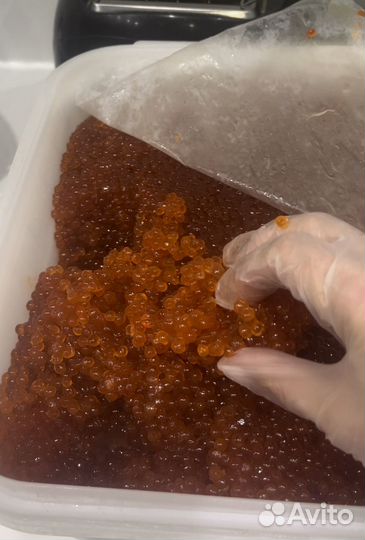 Красная икра 2023