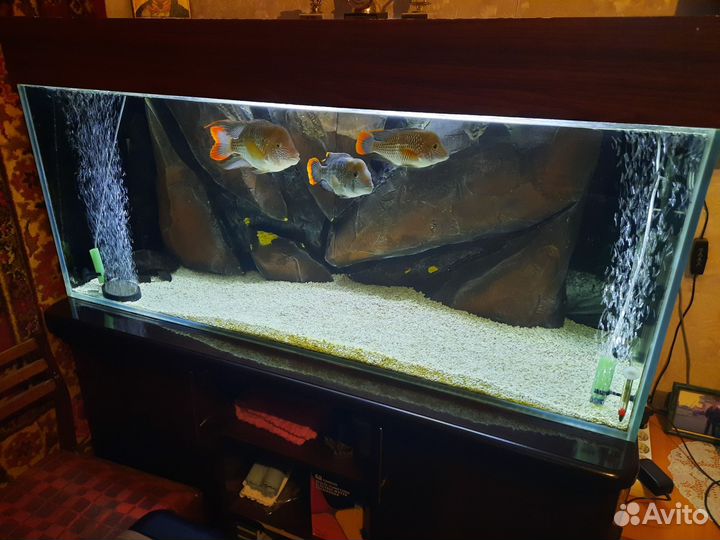 Аквариум