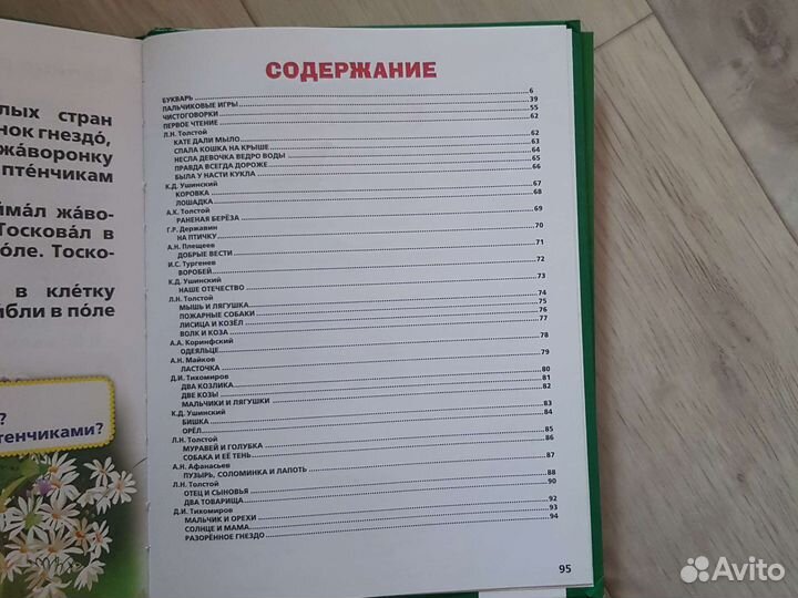 Букварь жукова