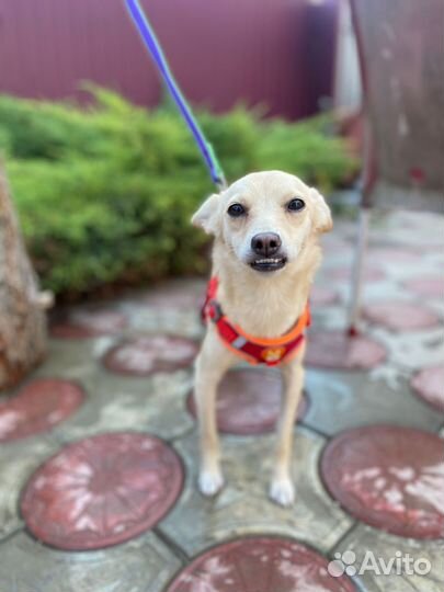 Спасите малышку