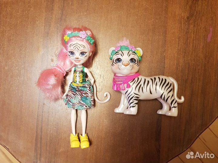 Тигр Енчантимолс