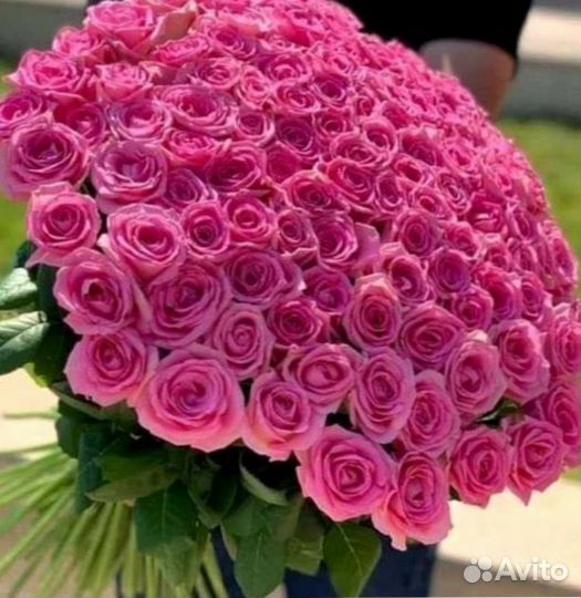 Букет роз. Розы