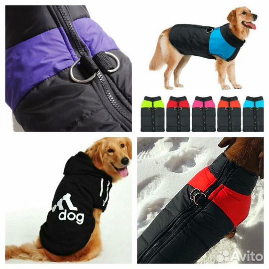 Одежда для собак