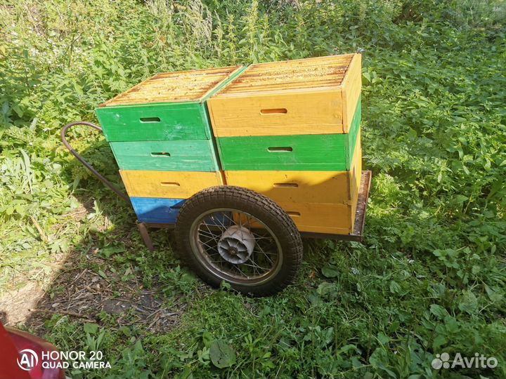 Улей с пчелами