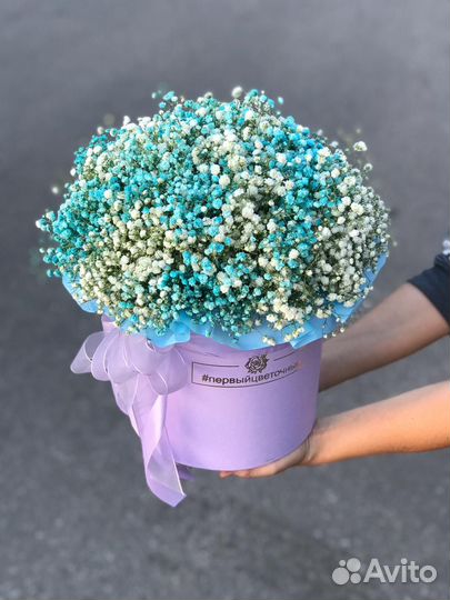 Цветы гипсофила