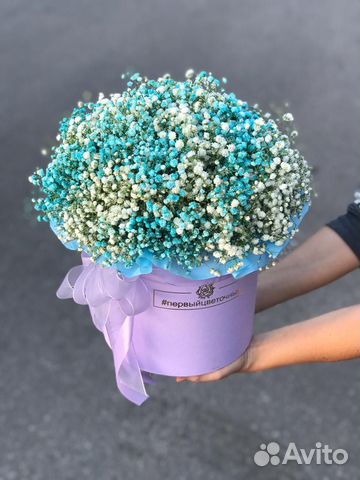 Цветы гипсофила