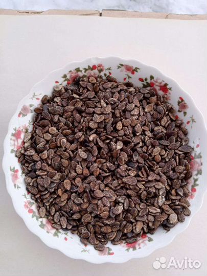 Семена арбуза