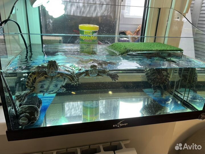 Террариум аквариум с красноухими черепахами