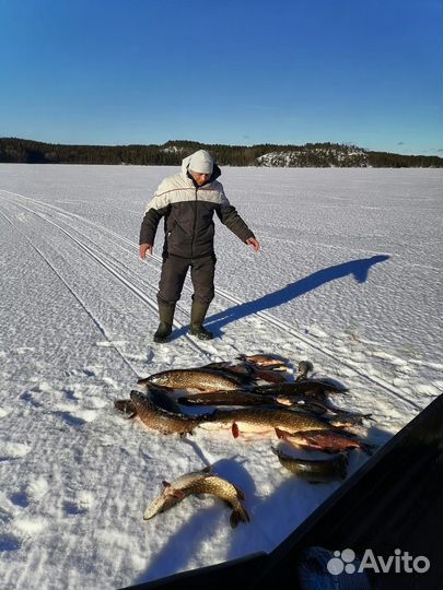 Рыбалка в Карелии Койонсаари