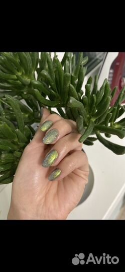 Мастер маникюра