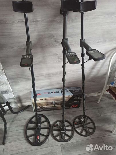 Minelab equinox 600