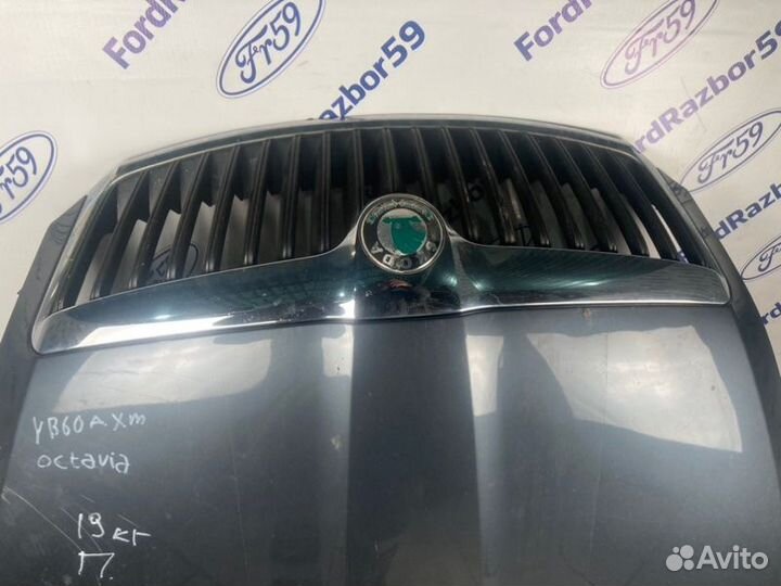 Капот Skoda Octavia A5 2008-2013