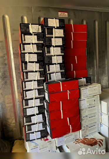 Креветка Северная