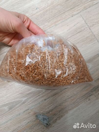 Корм для рыб и черепах - гаммарус