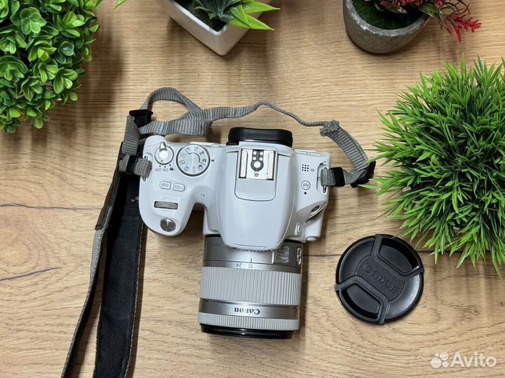 Canon EOS 200d 18-55 mm STM